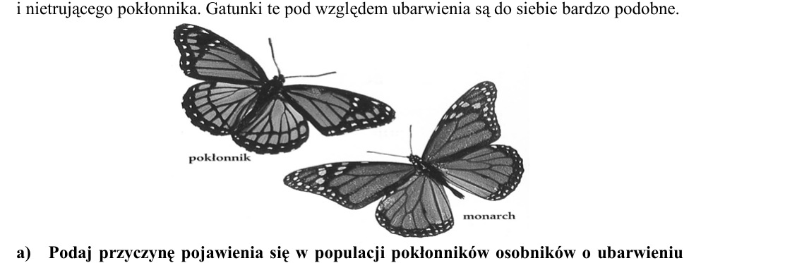 Rycina do zadania 26