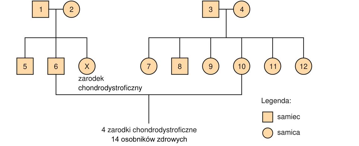 Rycina do zadania 14.3