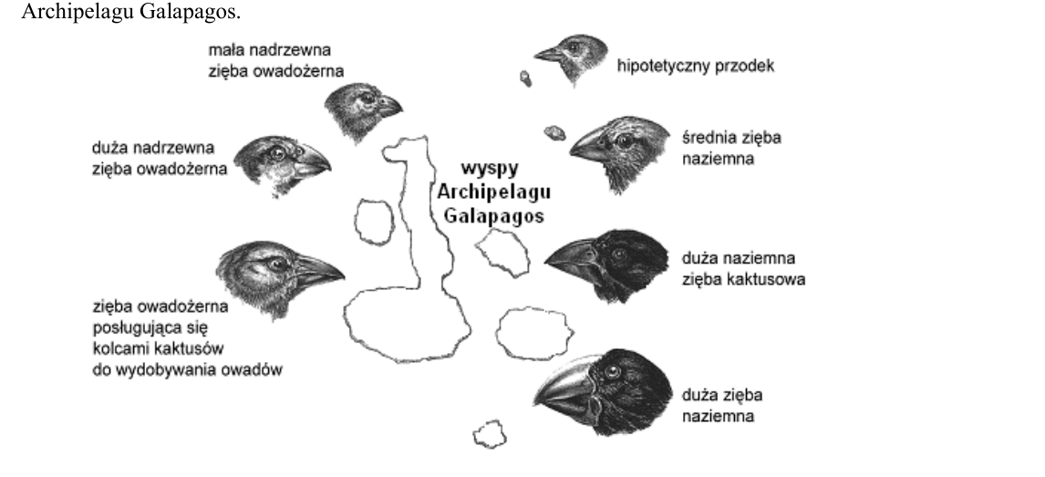 Rycina do zadania 27