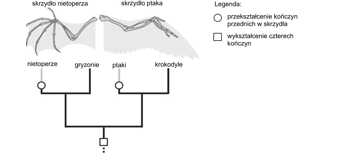 Rycina do zadania 23