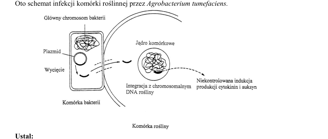 Rycina do zadania 45