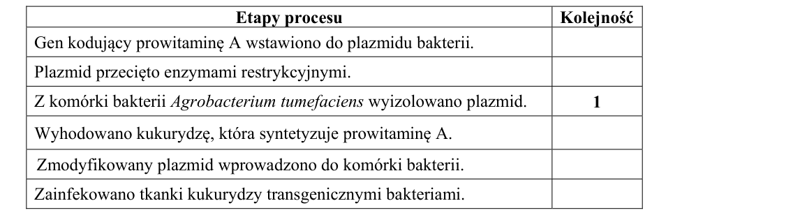 Rycina do zadania 17
