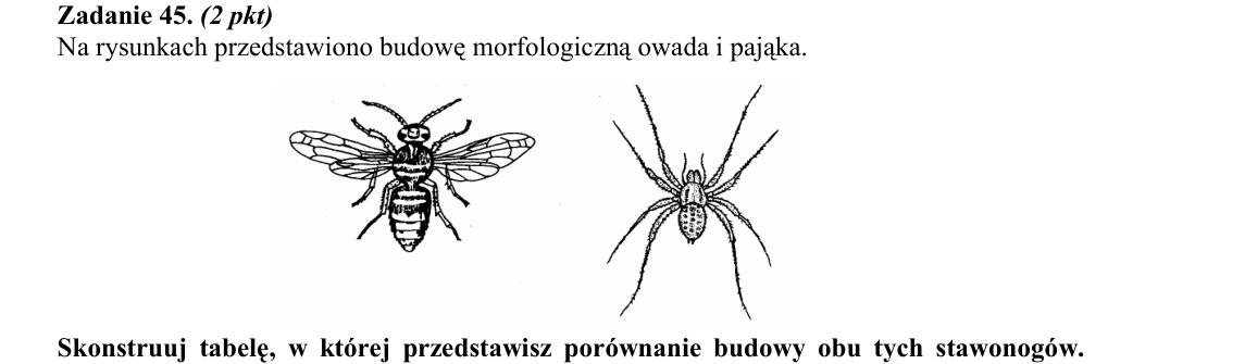 Rycina do zadania 45