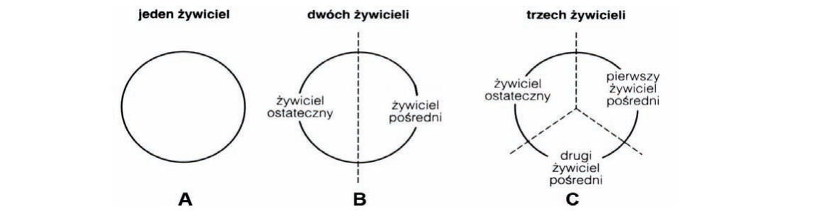 Rycina do zadania 15