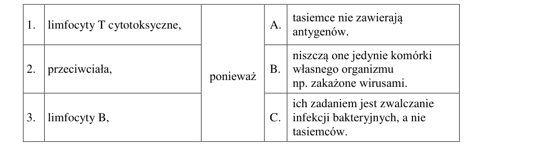 Rycina do zadania 12