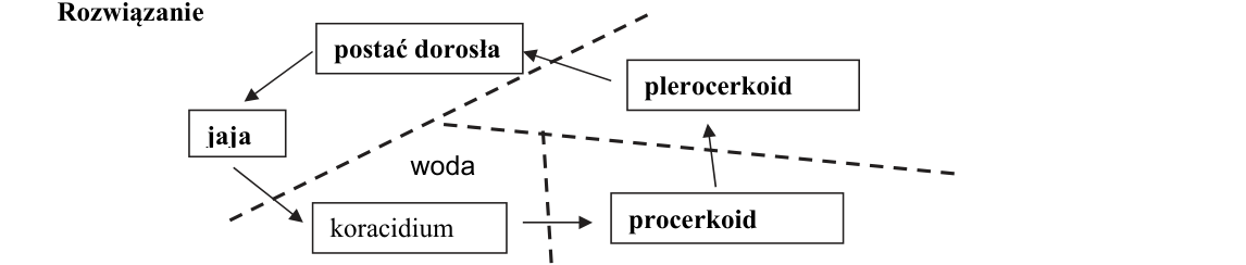 Rycina do rozwiązania zadania 7.1