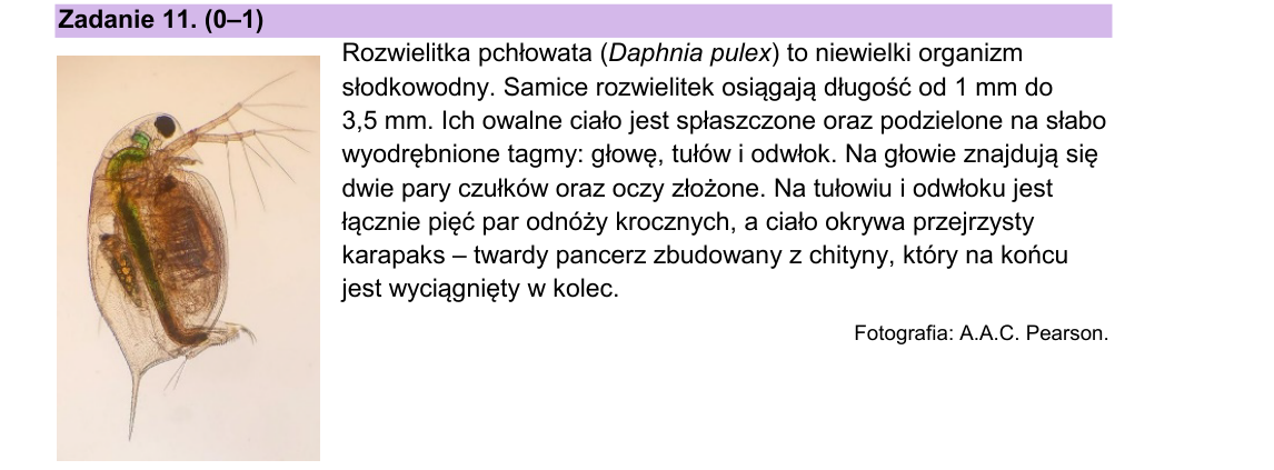 Rycina do zadania 11