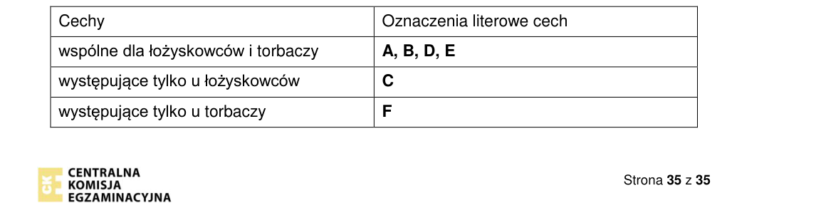 Rycina do rozwiązania zadania 21.2